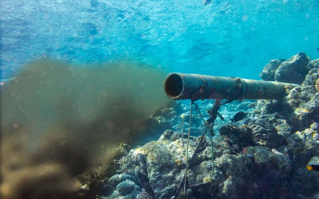 ARE CLEANING CHEMICALS HARMING OUR OCEANS?