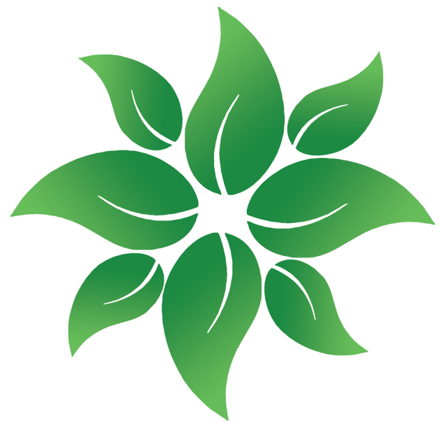 green_wheel2 (1) Green Wheel Cleaners, Victoria BC